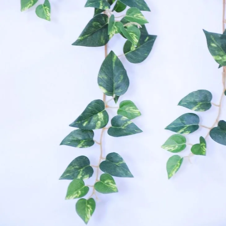 artificial variegated plant